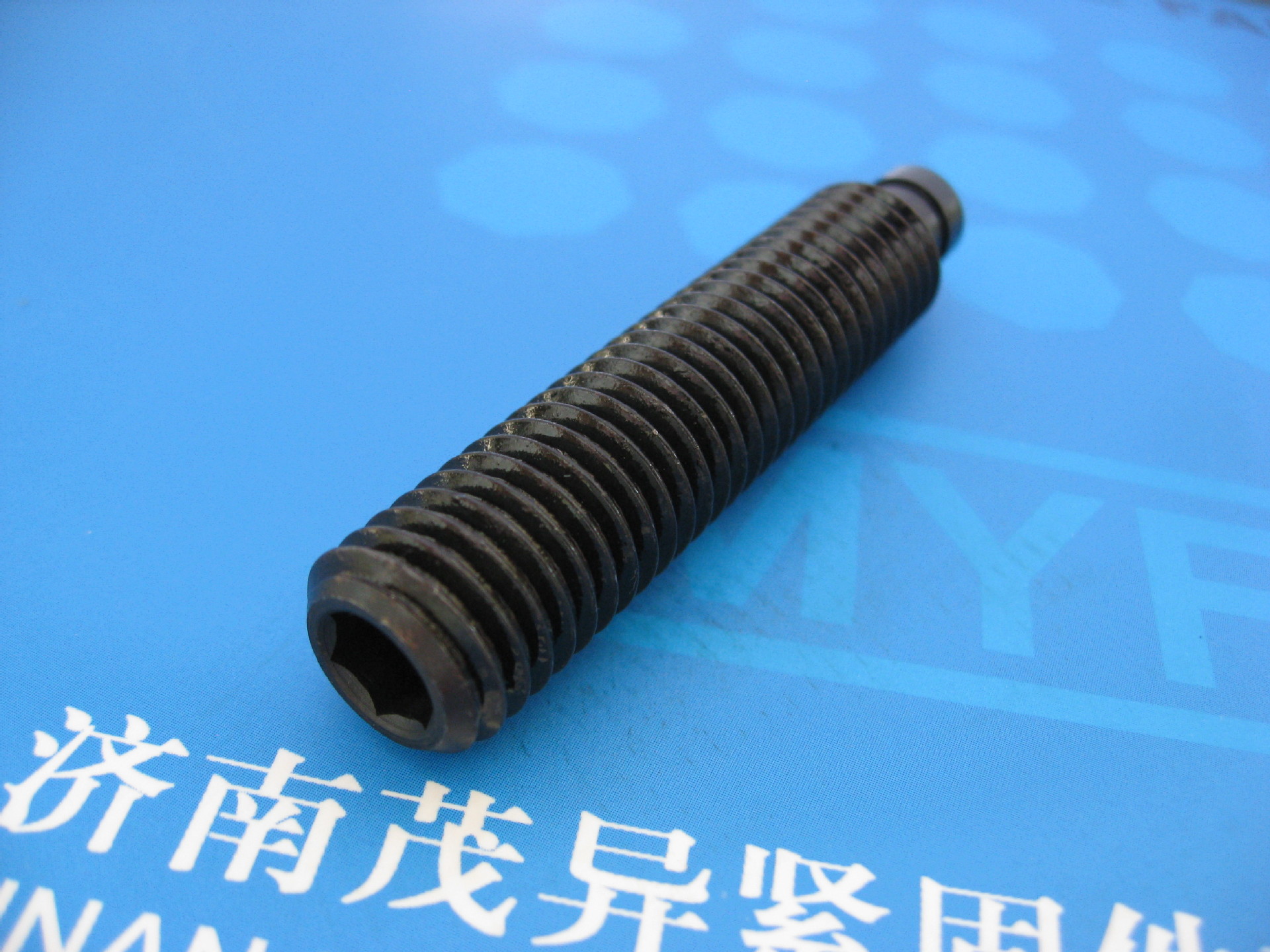 带推力点的螺钉DIN6332 (8)