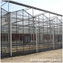 現代智能玻璃溫室蔬菜水果花卉農業水產種植養殖觀賞大棚大棚配件