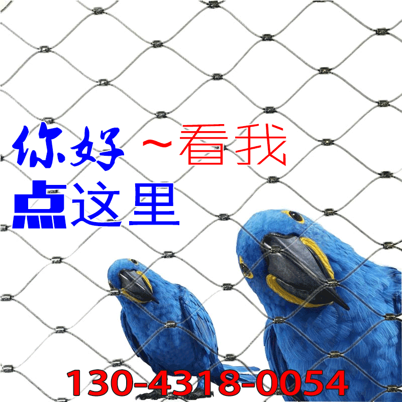 骐骏新款 钢丝绳编织鹦鹉笼舍网 304不锈钢鹦鹉养殖围网 支持定做
