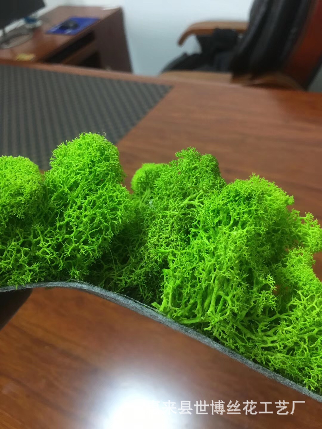 苔藓批发