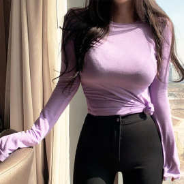韩国女装2024新款香芋紫色简单微透紧身显瘦百搭薄款圆领长袖T恤