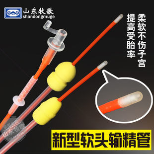 �i���˹��ھ�����ܛ�^ݔ���ܾ�Ʒݔ����ƿ���b �i���˹��ھ��O��