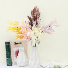 �羳���N���滨 3��18Ŀ���Ї��S�L�� ����Ҿ��b�c���ϻ�