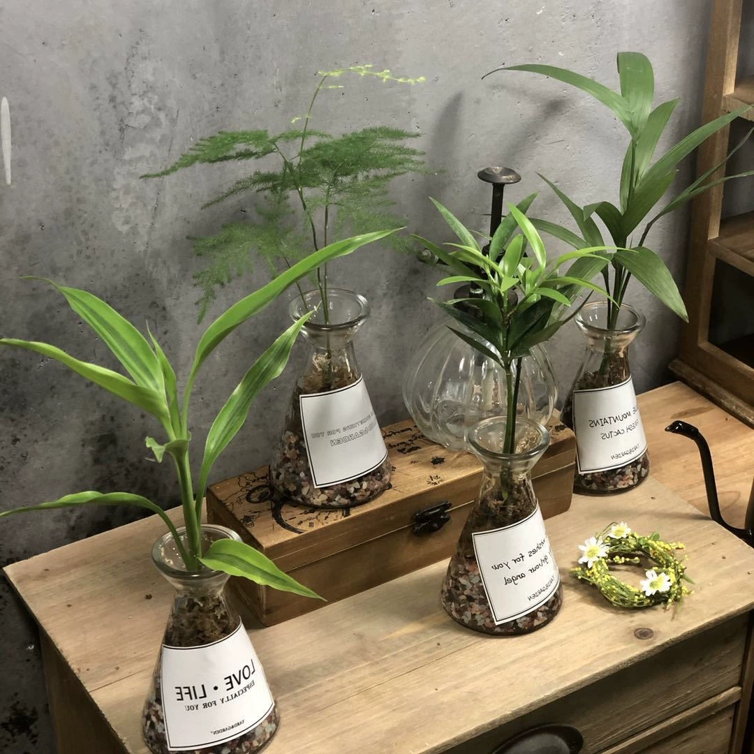 Завод прямой новый горшок почвы ленивый человек один клапан искусственный один клапан Дома Закрытый один клапан просмотр лист формальдегида поглощения Джейн