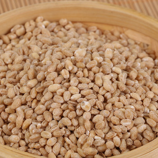 2023���x������ ����������ȥƤ���������خa����s�Z �������l