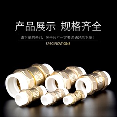 Brass PPR Vertical Check Valve 4/6 NPT/1 Inch Water Pipe Backflow Preventer 20/25 Hot Melt Unidirectional Valve Water Pipe Fitting