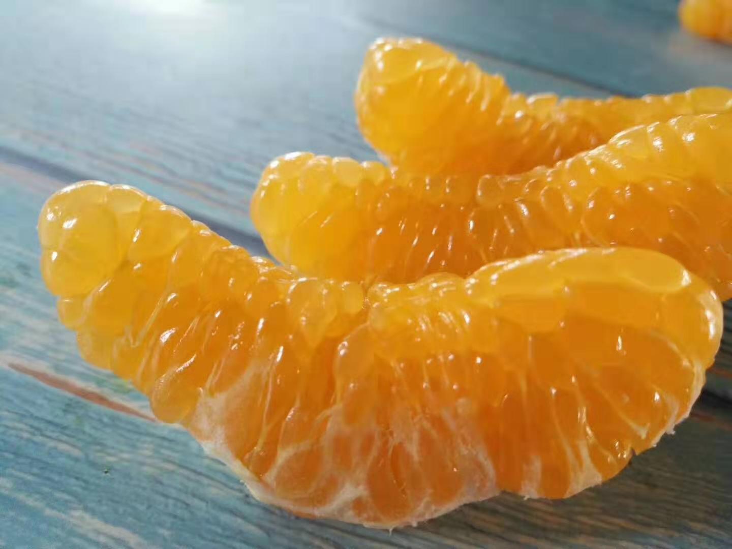 四川春见粑粑柑新鲜柑橘果肉饱满多汁香甜可口现摘现发|ru