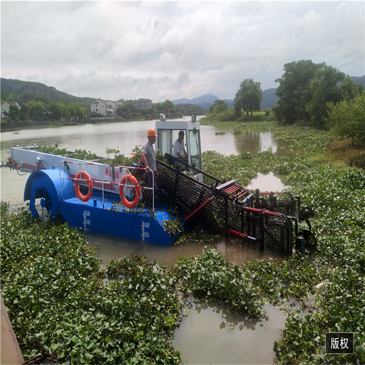 内河水域水草清理船 全自动割草船 小型河道水葫芦收割船