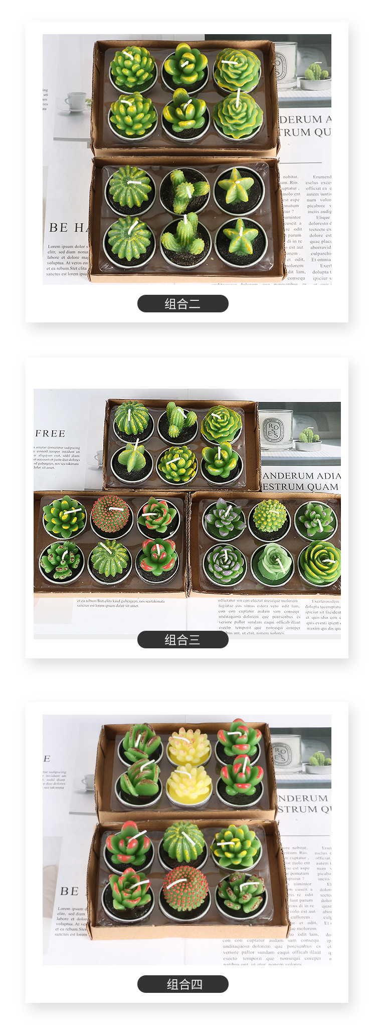 多肉组合_03.jpg