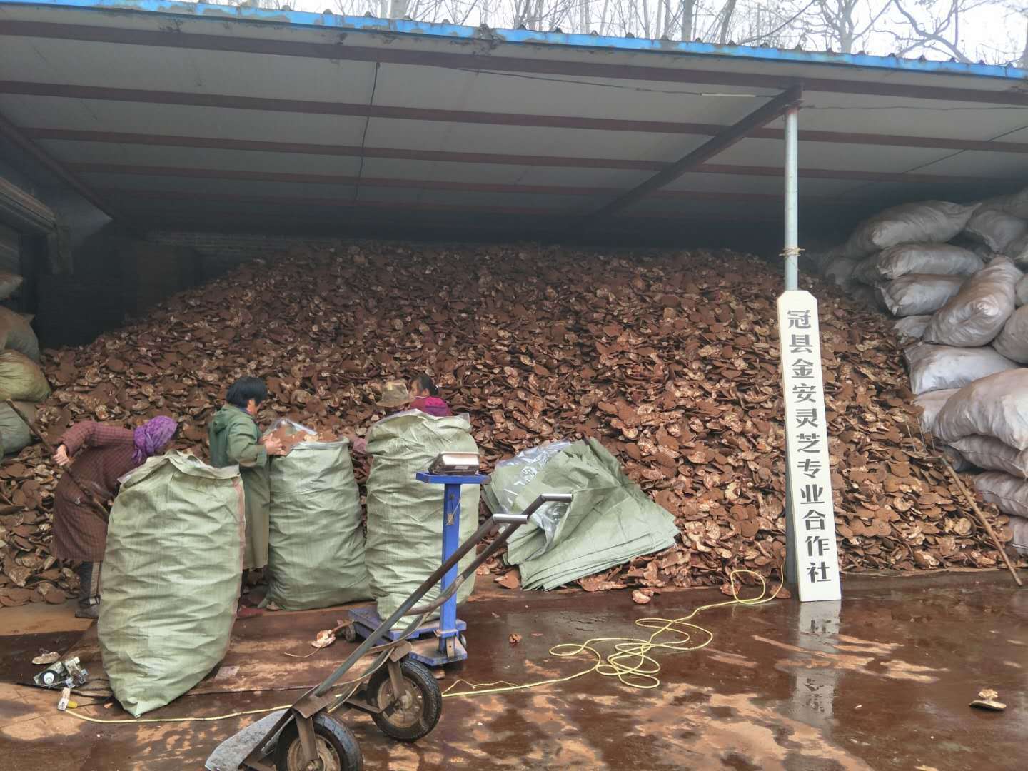 43bf3004a782e333fbfd9121e4a68e