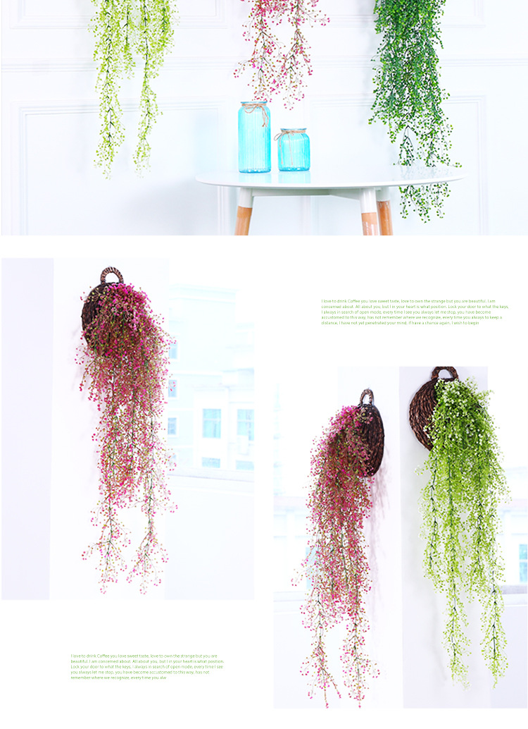 金钟柳 金钟柳壁挂