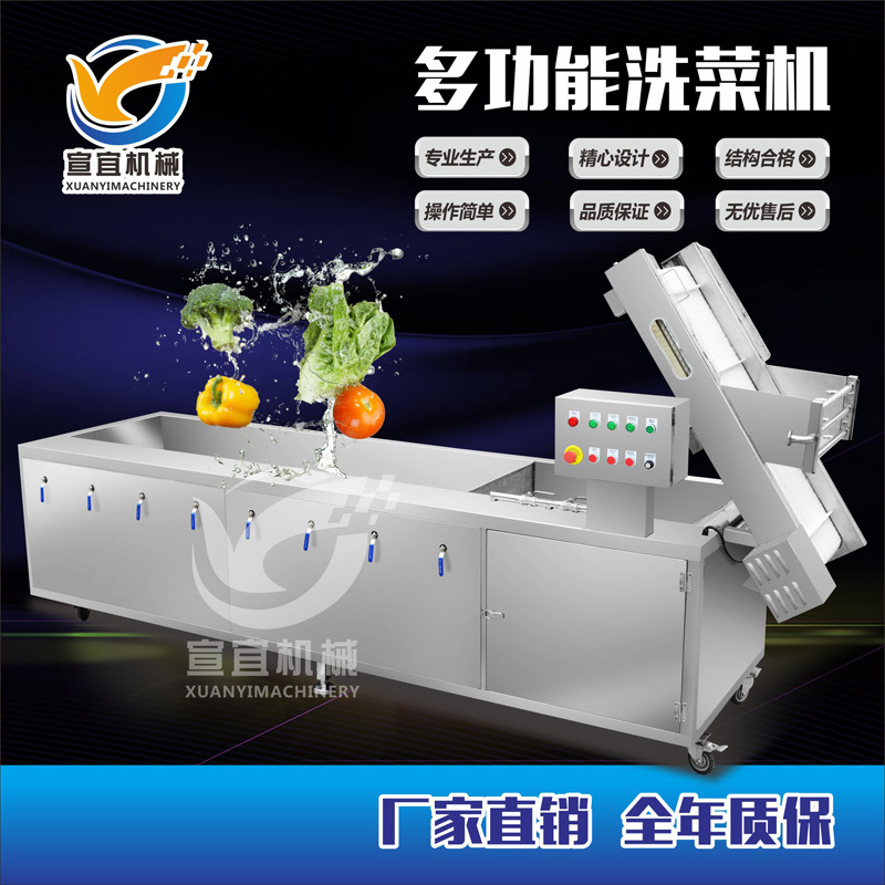 老鼠耳清洗机 气泡喷淋式东北黑木耳菌菇类清洗机 自动洗菜机