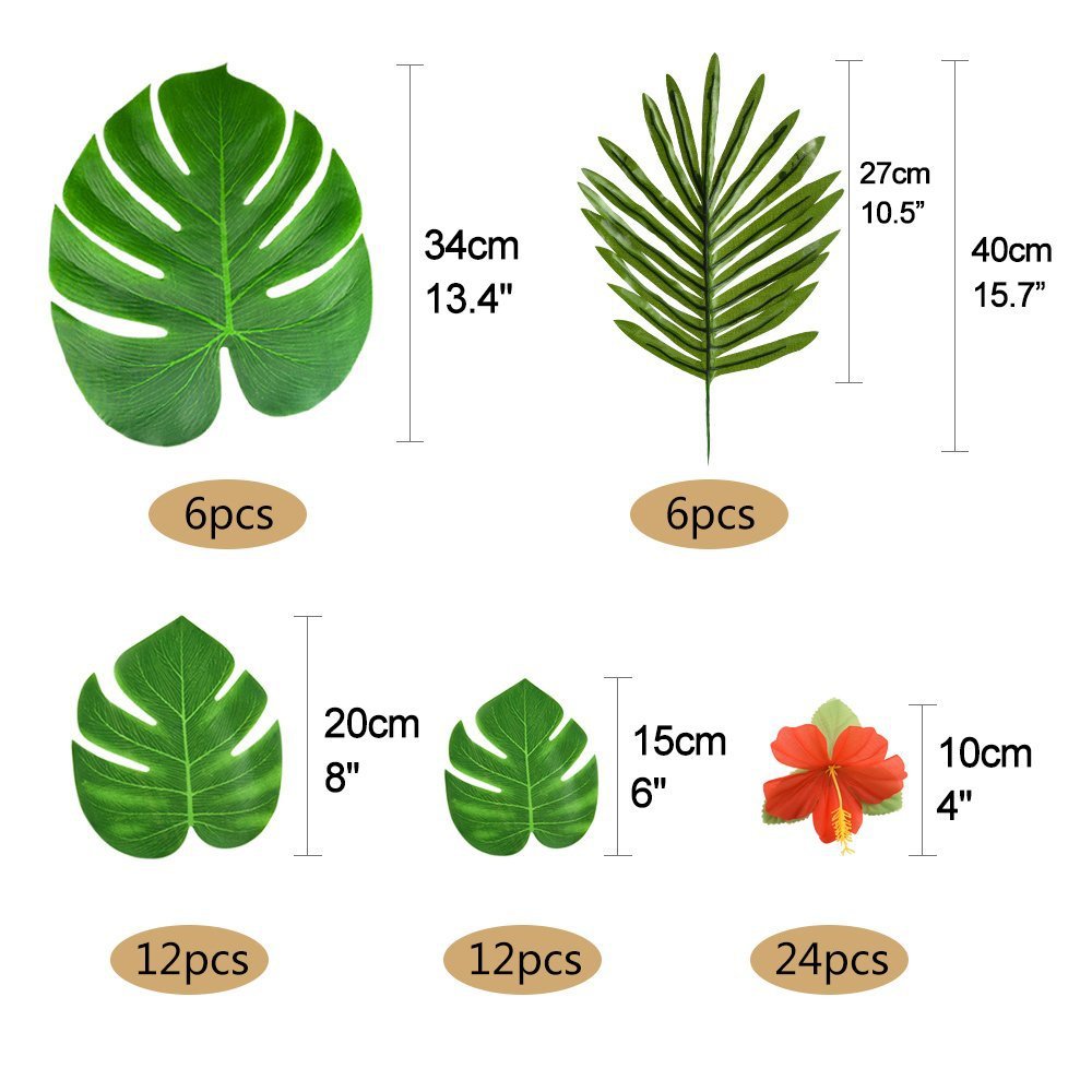 61r3HqIDf6L._SL1000_