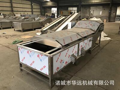 Potherb machining Complete clean Assembly line Bamboo shoots Steaming and boiling Ironing machine Mother Ding Bubble clean Price