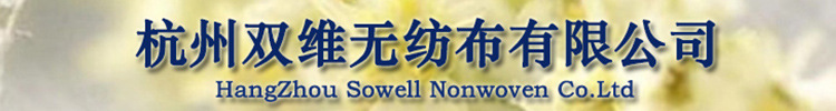 杭州双维无纺布有限公司 750x100