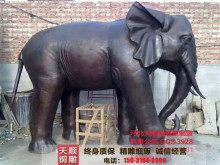 �V����ؔ�~�����T��S�ҹ��������^�~���� 3.6���~����F؛