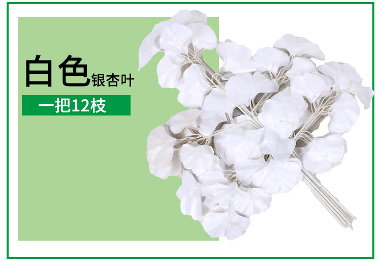 10703418953_237492366