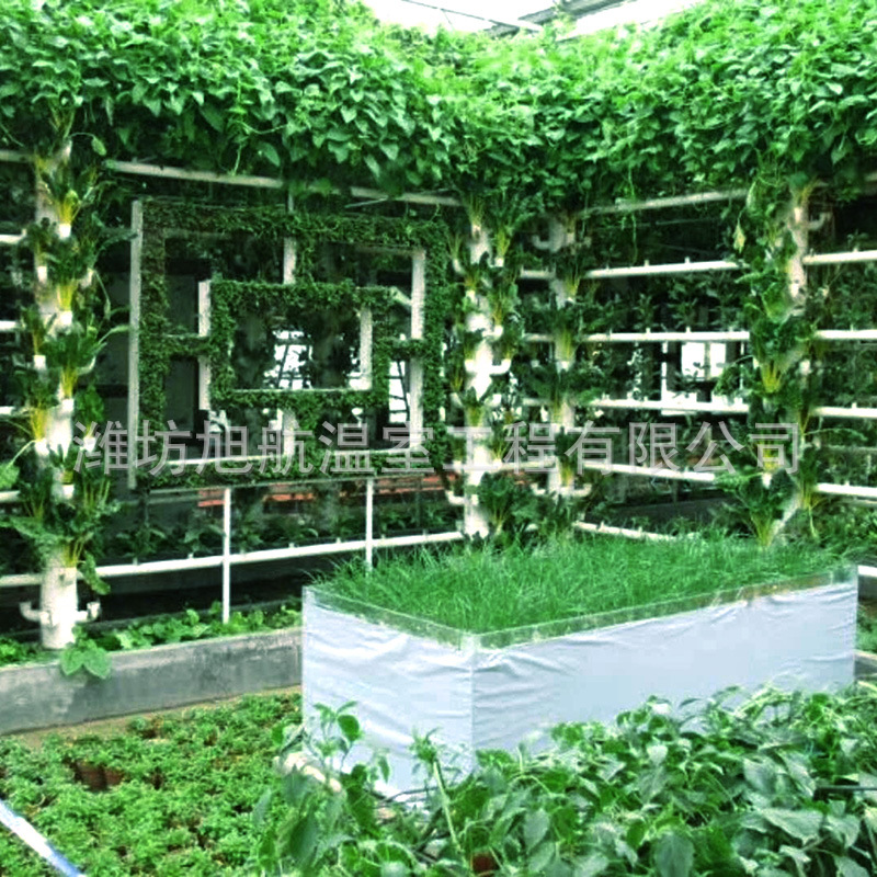 1ddce25e82e131a9bc14aa203c5562