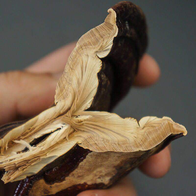 Dried Reishi Mushroom Slices Purple and Red Lingzhi from Jilin for Herbal Decoctions 500g overview