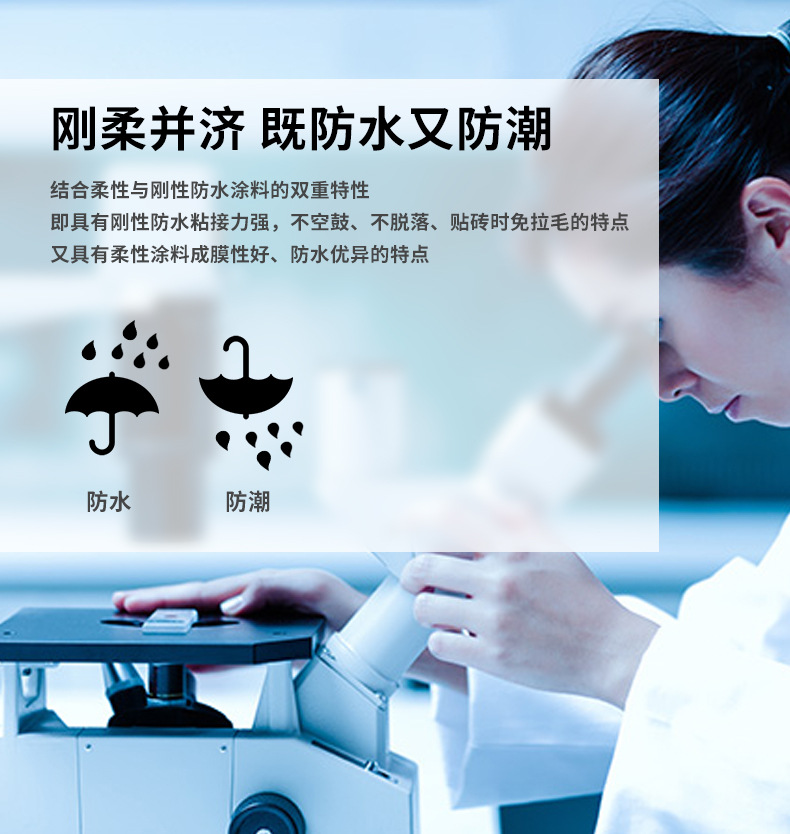 C 产品介绍