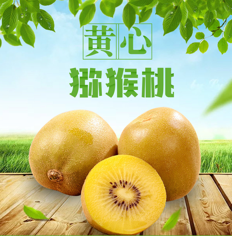 黄心猕猴桃_01.jpg