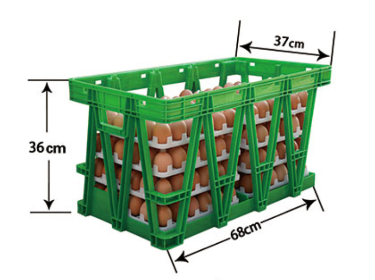 Caja de facturación de transporte de combinación de envasado de huevos engrosada directa de fábrica anti-colisión anti-aplastamiento equipo de partición de bandeja de huevos