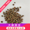 Manufactor Direct selling peas Good Marijuana peas Grain Coarse Cereals Coarse grains dove Beans peas wholesale