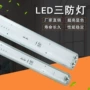 双管三防单管ip65三防灯