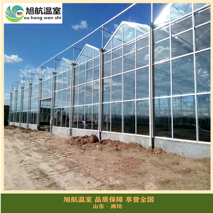 微信图片_20190408113501_副本