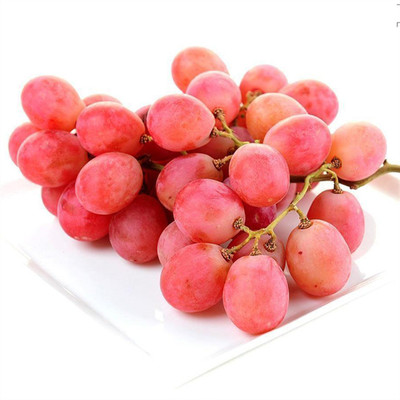 【順豐包郵】新疆玻璃脆脆吐魯番葡萄無籽紅提無核新鮮淨重4斤裝