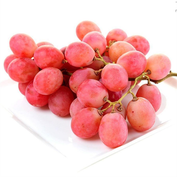 【順豐包郵】新疆玻璃脆脆吐魯番葡萄無籽紅提無核新鮮淨重4斤裝