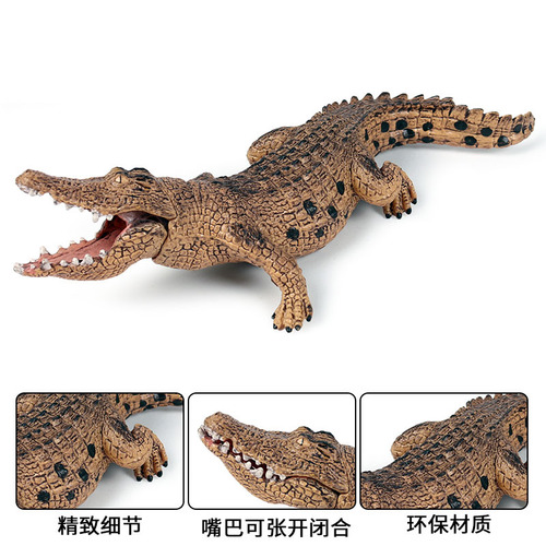 Children's toys, wild animal model simulation crocodile, science and education preschool education cognitive solid static model ornaments