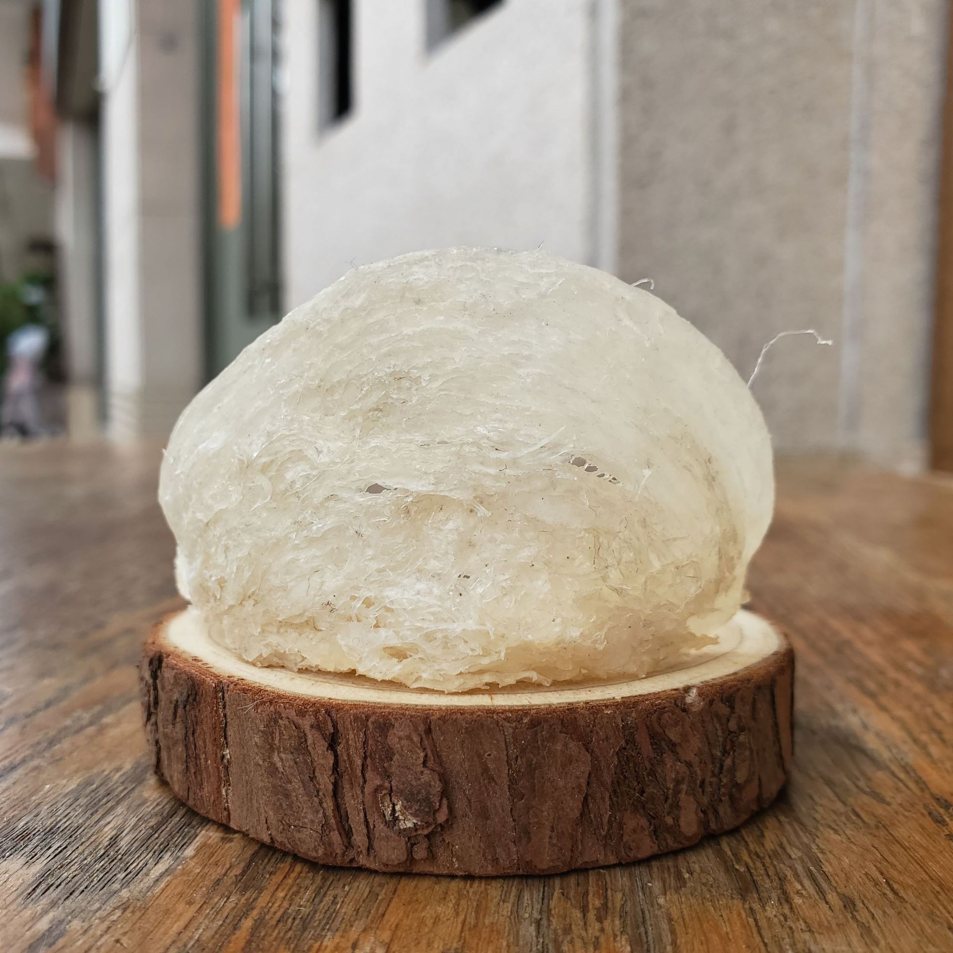 wholesale Indonesia natural Bird's Nest Bird's Nest quality Bird's Nest Bai Yan