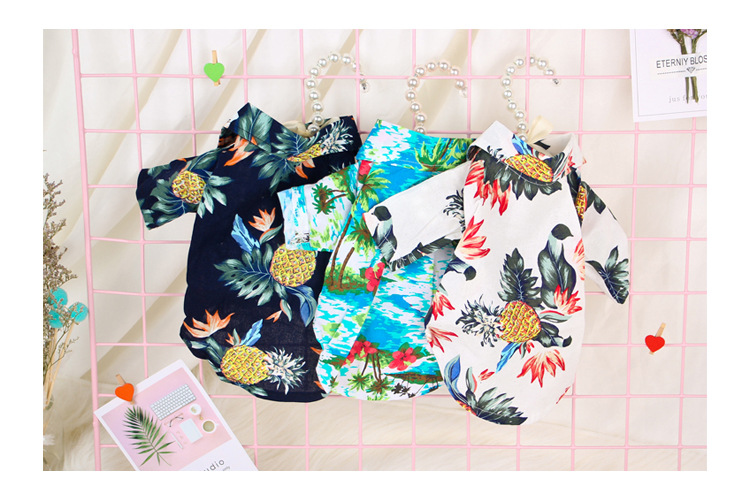 59g Weight Pet Clothing Type Of Pet Supplies 1 Piece Quantity Holiday, Daily Occasion Color Block Pattern Summer Season Casual Style Casual Cloth Color Block Pet Clothing 1