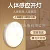 LED human body induction small night lamp bedroom bedside wardrobe corridor sensing lights to breastfeed USB charging