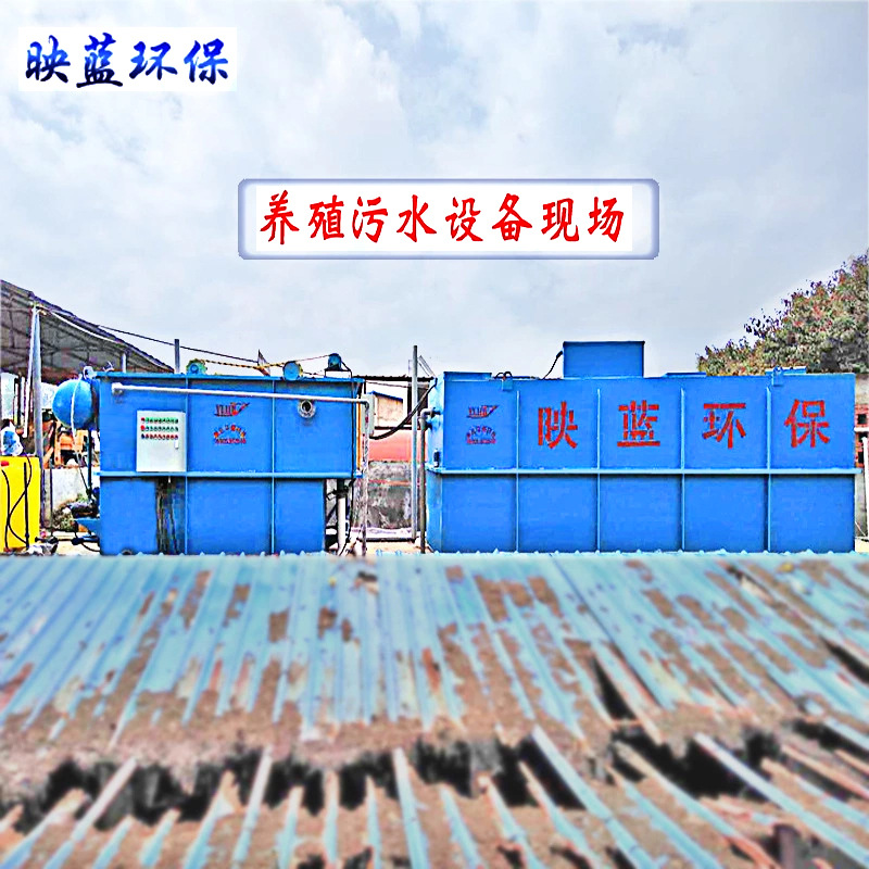 Pig farming sewage treatment equipment Agriculture
