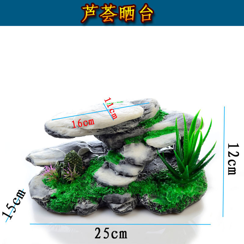 3337414843_1767209755