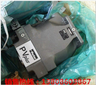 AA4VSO125FRG/30R-PZB25U34