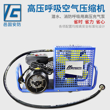 正压式空气呼吸器用高压打气泵 30MPA呼吸空气压缩机 充气泵