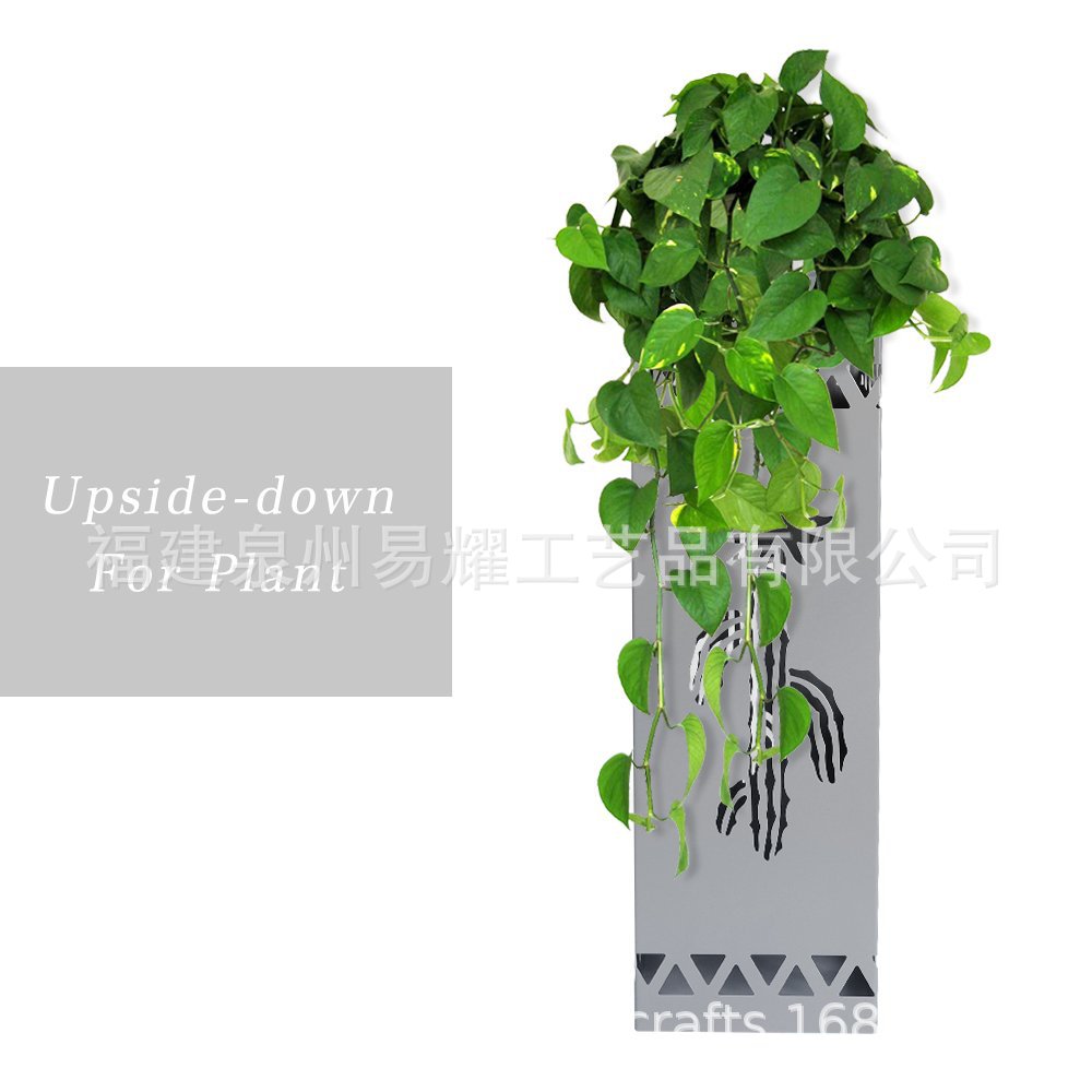 61ExlhFp64L._SL1000_