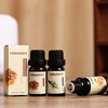 Aromatherapy, oil, diffuser, humidifier, suitable for import, wish, 10 ml, wholesale