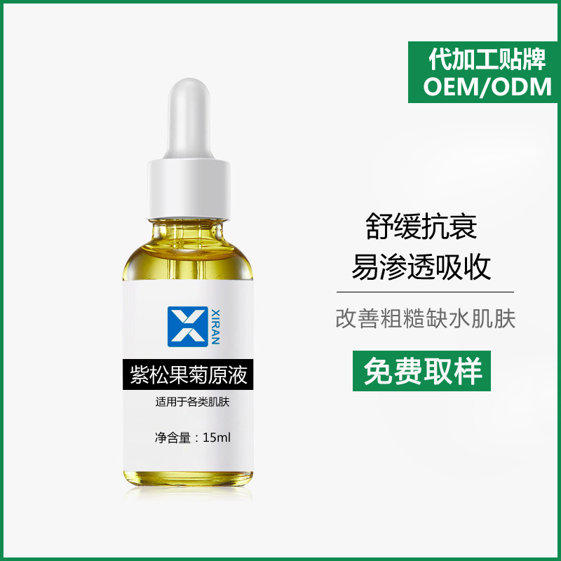 美容院专供紫松果菊原液 紧致抗衰修复修护原液厂家代加工oem贴牌