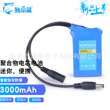 12V3000mah聚合物便携式小尺寸彩标黄金版可充锂电池