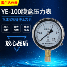 雷尔达仪表 膜盒压力表 微压表 千帕表 KPa YE-100 (LEIERDA)