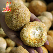 古田猴头菇干货批发好5-7公分剪头猴头菇25斤一箱猴头菇批发