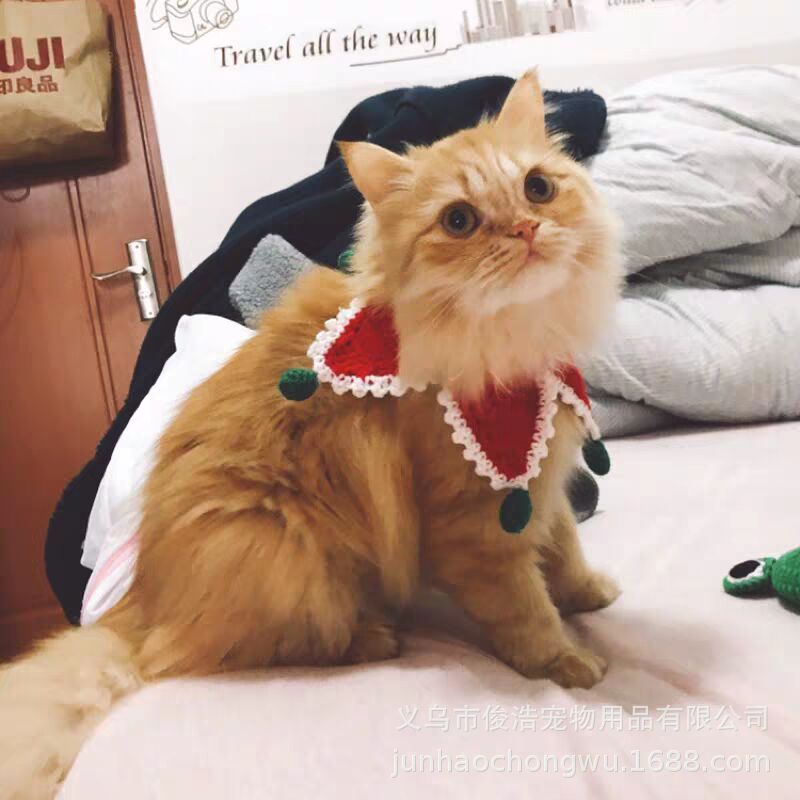 4D64F1082F5FCEBE4A955C4153ED2B