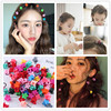 Small resin flower-shaped, bangs, brand accessory, Korean style, internet celebrity