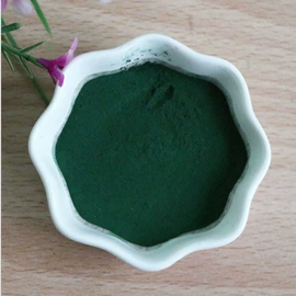 装饰台灯;小夜灯;其他非金属