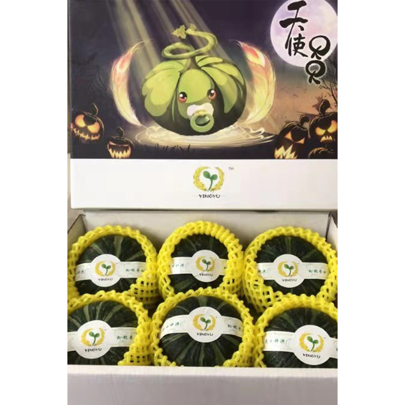 Babe Pumpkin Number one Gift box packaging 4.5 Boutique 6 Imported A source Base Chinese chestnut baby Complementary food