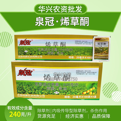 24%烯草酮 廠家大量供應除草劑 牛筋草 用于油菜花生大豆除草